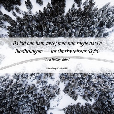 Picture 06 - 2 Mosebog 4:26 DA1871 - Da lod han ham være; men hun sagde da: En - Bible Verse Picture