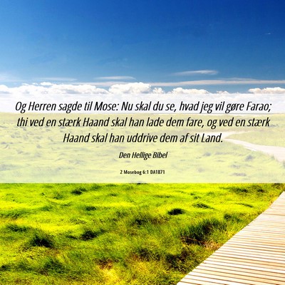 Picture 06 - 2 Mosebog 6:1 DA1871 - Og Herren sagde til Mose: Nu skal du se, hvad jeg - Bible Verse Picture