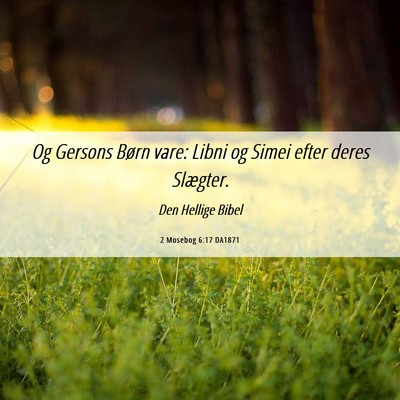 Picture 06 - 2 Mosebog 6:17 DA1871 - Og Gersons Børn vare: Libni og Simei efter deres - Bible Verse Picture