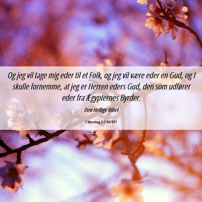 Picture 06 - 2 Mosebog 6:7 DA1871 - Og jeg vil tage mig eder til et Folk, og jeg vil - Bible Verse Picture