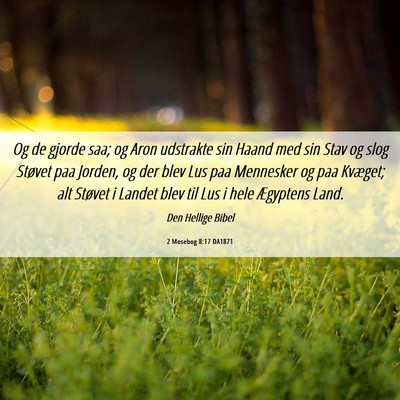 Picture 06 - 2 Mosebog 8:17 DA1871 - Og de gjorde saa; og Aron udstrakte sin Haand med - Bible Verse Picture