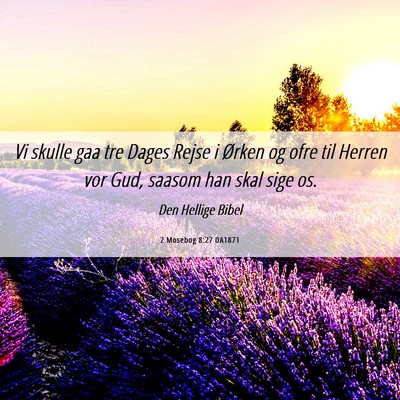 Picture 06 - 2 Mosebog 8:27 DA1871 - Vi skulle gaa tre Dages Rejse i Ørken og ofre - Bible Verse Picture