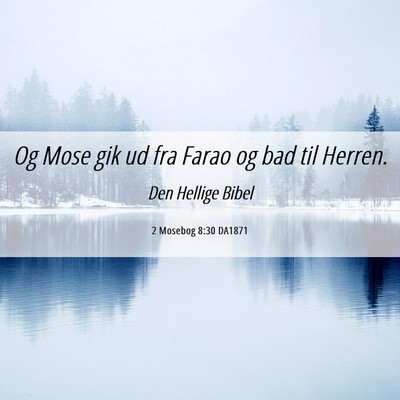 Picture 06 - 2 Mosebog 8:30 DA1871 - Og Mose gik ud fra Farao og bad til - Bible Verse Picture