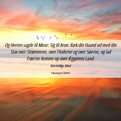 Picture 06 - 2 Mosebog 8:5 DA1871 - Og Herren sagde til Mose: Sig til Aron: Ræk din - Bible Verse Picture