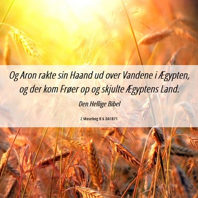 Picture 06 - 2 Mosebog 8:6 DA1871 - Og Aron rakte sin Haand ud over Vandene i - Bible Verse Picture