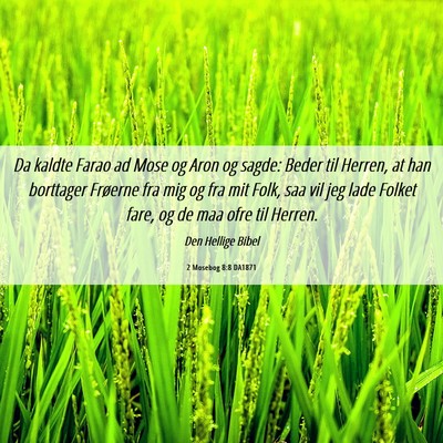 Picture 06 - 2 Mosebog 8:8 DA1871 - Da kaldte Farao ad Mose og Aron og sagde: Beder - Bible Verse Picture