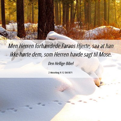 Picture 06 - 2 Mosebog 9:12 DA1871 - Men Herren forhærdede Faraos Hjerte, saa at han - Bible Verse Picture