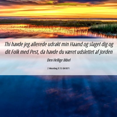 Picture 06 - 2 Mosebog 9:15 DA1871 - Thi havde jeg allerede udrakt min Haand og slaget - Bible Verse Picture