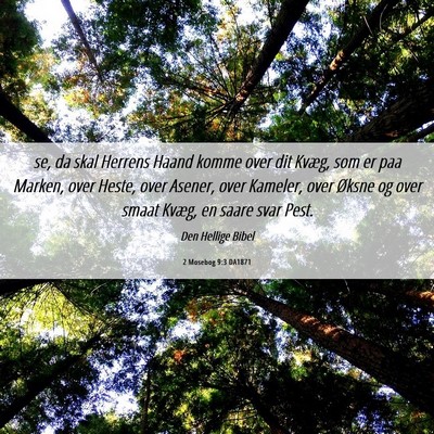 Picture 06 - 2 Mosebog 9:3 DA1871 - se, da skal Herrens Haand komme over dit Kvæg, - Bible Verse Picture