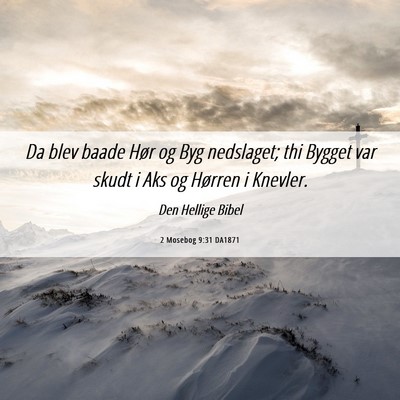 Picture 06 - 2 Mosebog 9:31 DA1871 - Da blev baade Hør og Byg nedslaget; thi Bygget - Bible Verse Picture