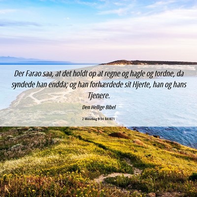 Picture 06 - 2 Mosebog 9:34 DA1871 - Der Farao saa, at det holdt op at regne og hagle - Bible Verse Picture