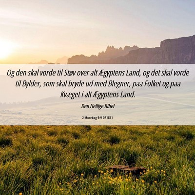 Picture 06 - 2 Mosebog 9:9 DA1871 - Og den skal vorde til Støv over alt Ægyptens - Bible Verse Picture