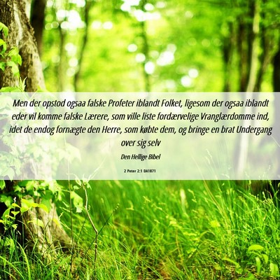 Picture 06 - 2 Peter 2:1 DA1871 - Men der opstod ogsaa falske Profeter iblandt - Bible Verse Picture