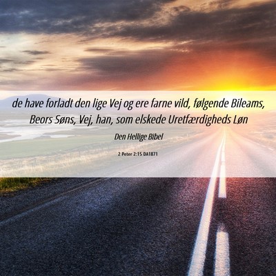 Picture 06 - 2 Peter 2:15 DA1871 - de have forladt den lige Vej og ere farne vild, - Bible Verse Picture
