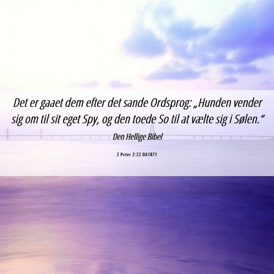 Picture 06 - 2 Peter 2:22 DA1871 - Det er gaaet dem efter det sande Ordsprog: - Bible Verse Picture