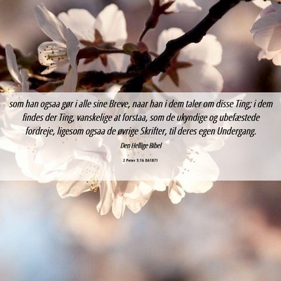 Picture 06 - 2 Peter 3:16 DA1871 - som han ogsaa gør i alle sine Breve, naar han i - Bible Verse Picture