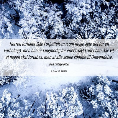 Picture 06 - 2 Peter 3:9 DA1871 - Herren forhaler ikke Forjættelsen (som nogle - Bible Verse Picture