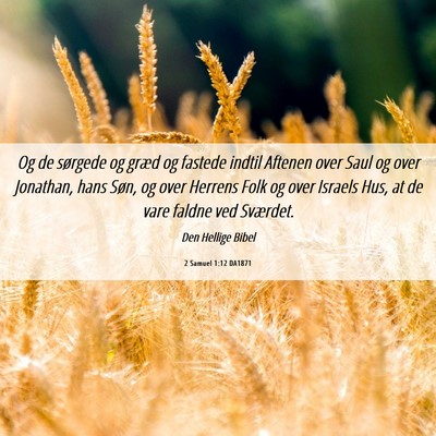 Picture 06 - 2 Samuel 1:12 DA1871 - Og de sørgede og græd og fastede indtil Aftenen - Bible Verse Picture