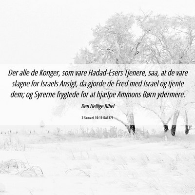 Picture 06 - 2 Samuel 10:19 DA1871 - Der alle de Konger, som vare Hadad-Esers Tjenere, - Bible Verse Picture