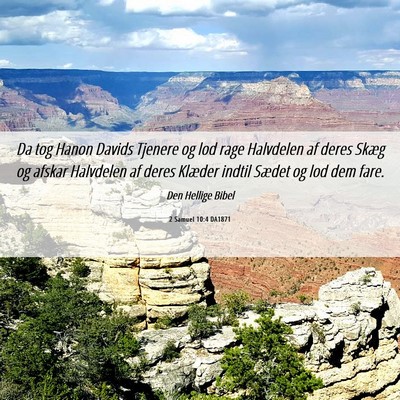 Picture 06 - 2 Samuel 10:4 DA1871 - Da tog Hanon Davids Tjenere og lod rage Halvdelen - Bible Verse Picture