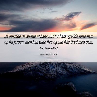 Picture 06 - 2 Samuel 12:17 DA1871 - Da opstode de ældste af hans Hus for ham og - Bible Verse Picture