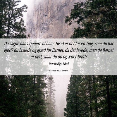 Picture 06 - 2 Samuel 12:21 DA1871 - Da sagde hans Tjenere til ham: Hvad er det for en - Bible Verse Picture