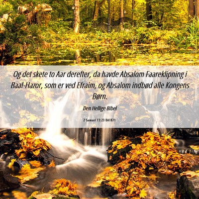 Picture 06 - 2 Samuel 13:23 DA1871 - Og det skete to Aar derefter, da havde Absalom - Bible Verse Picture