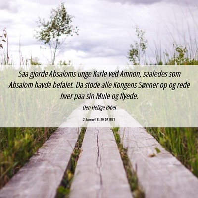 Picture 06 - 2 Samuel 13:29 DA1871 - Saa gjorde Absaloms unge Karle ved Amnon, - Bible Verse Picture