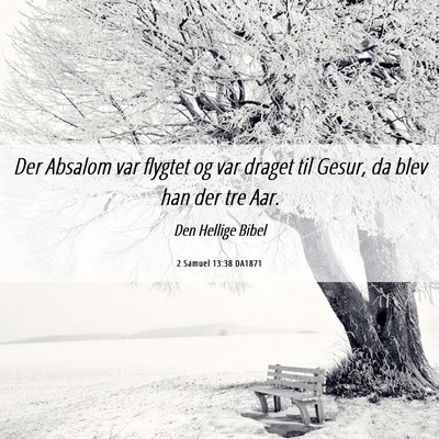 Picture 06 - 2 Samuel 13:38 DA1871 - Der Absalom var flygtet og var draget til Gesur, - Bible Verse Picture