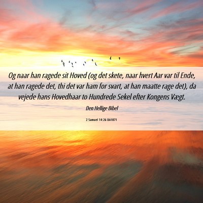 Picture 06 - 2 Samuel 14:26 DA1871 - Og naar han ragede sit Hoved (og det skete, naar - Bible Verse Picture