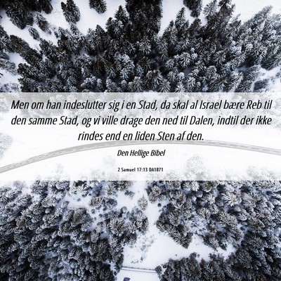 Picture 06 - 2 Samuel 17:13 DA1871 - Men om han indeslutter sig i en Stad, da skal al - Bible Verse Picture