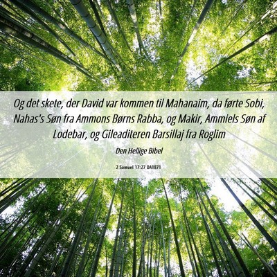 Picture 06 - 2 Samuel 17:27 DA1871 - Og det skete, der David var kommen til Mahanaim, - Bible Verse Picture
