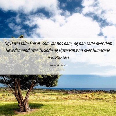 Picture 06 - 2 Samuel 18:1 DA1871 - Og David talte Folket, som var hos ham, og han - Bible Verse Picture