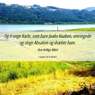 Picture 06 - 2 Samuel 18:15 DA1871 - Og ti unge Karle, som bare Joabs Vaaben, - Bible Verse Picture