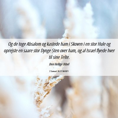 Picture 06 - 2 Samuel 18:17 DA1871 - Og de toge Absalom og kastede ham i Skoven i en - Bible Verse Picture