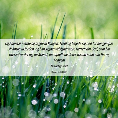 Picture 06 - 2 Samuel 18:28 DA1871 - Og Ahimaaz raabte og sagde til Kongen: Fred! og - Bible Verse Picture