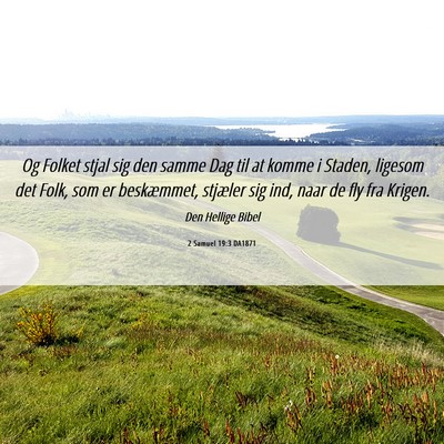Picture 06 - 2 Samuel 19:3 DA1871 - Og Folket stjal sig den samme Dag til at komme i - Bible Verse Picture