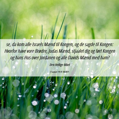 Picture 06 - 2 Samuel 19:41 DA1871 - se, da kom alle Israels Mænd til Kongen, og de - Bible Verse Picture