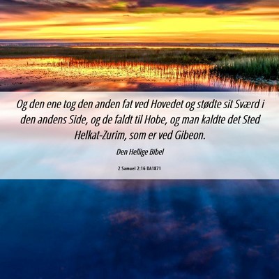 Picture 06 - 2 Samuel 2:16 DA1871 - Og den ene tog den anden fat ved Hovedet og - Bible Verse Picture