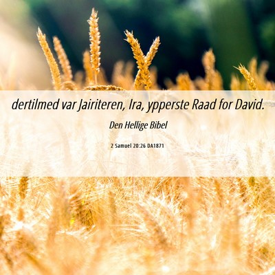 Picture 06 - 2 Samuel 20:26 DA1871 - dertilmed var Jairiteren, Ira, ypperste Raad for - Bible Verse Picture