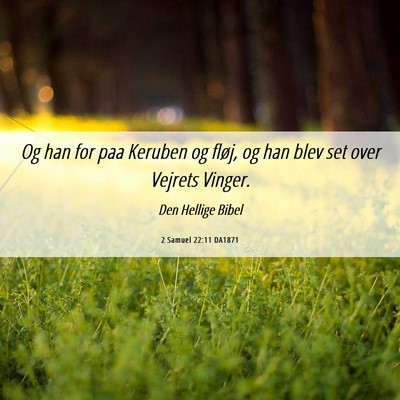 Picture 06 - 2 Samuel 22:11 DA1871 - Og han for paa Keruben og fløj, og han blev set - Bible Verse Picture