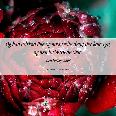 Picture 06 - 2 Samuel 22:15 DA1871 - Og han udskød Pile og adspredte dem; der kom - Bible Verse Picture