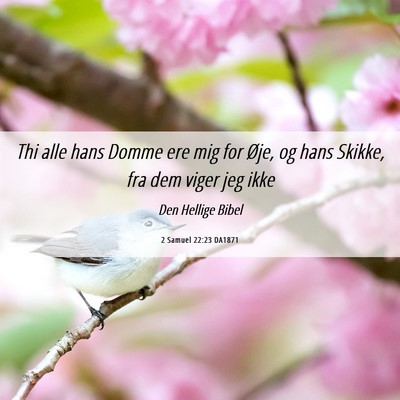 Picture 06 - 2 Samuel 22:23 DA1871 - Thi alle hans Domme ere mig for Øje, og hans - Bible Verse Picture