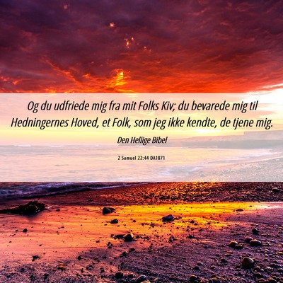 Picture 06 - 2 Samuel 22:44 DA1871 - Og du udfriede mig fra mit Folks Kiv; du bevarede - Bible Verse Picture