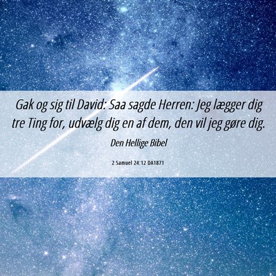Picture 06 - 2 Samuel 24:12 DA1871 - Gak og sig til David: Saa sagde Herren: Jeg - Bible Verse Picture