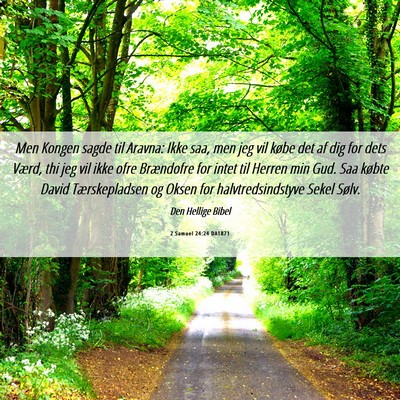 Picture 06 - 2 Samuel 24:24 DA1871 - Men Kongen sagde til Aravna: Ikke saa, men jeg - Bible Verse Picture