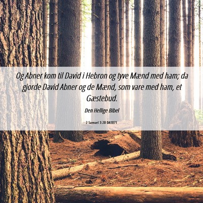 Picture 06 - 2 Samuel 3:20 DA1871 - Og Abner kom til David i Hebron og tyve Mænd med - Bible Verse Picture