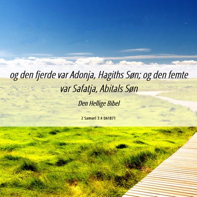 Picture 06 - 2 Samuel 3:4 DA1871 - og den fjerde var Adonja, Hagiths Søn; og den - Bible Verse Picture