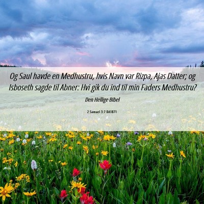 Picture 06 - 2 Samuel 3:7 DA1871 - Og Saul havde en Medhustru, hvis Navn var Rizpa, - Bible Verse Picture