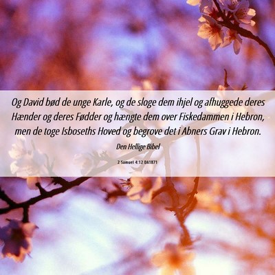 Picture 06 - 2 Samuel 4:12 DA1871 - Og David bød de unge Karle, og de sloge dem - Bible Verse Picture
